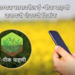 सहाय्यक स्तरावरील ई -पीक पाहणी करायची शेवटची दिनांक ?