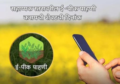 सहाय्यक स्तरावरील ई -पीक पाहणी करायची शेवटची दिनांक ?