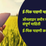 Types of E-Pik Pahani: A Complete Guide to Online Land Records in Maharashtra