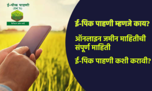 Types of E-Pik Pahani: A Complete Guide to Online Land Records in Maharashtra